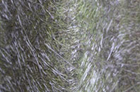 Shellbrook fibreglass roof work